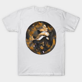 Yin-Yang Cats: Chimera T-Shirt